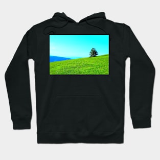 Scene in Piani di Ragnolo with a lone tree Hoodie